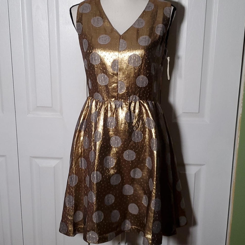 isani for target metallic dot dress w pockets